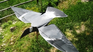 Picture of Pigeon Flapping Flyer Hypa-Flap by Sillosocks Decoys