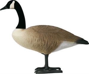 Picture of **FREE SHIPPING** Single Bigfoot Canada Goose Decoy