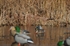 Picture of KillerWeed Layout Blind Kit by Avery Outdoors Greenhead Gear GHG