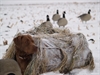 Picture of Real Snow Spray (AV01400) by Avery Outdoors Greenhead Gear GHG