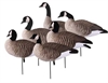 Picture of **SALE** Tim Newbold FFD Lesser Canada Goose Decoys - ACTIVE 6 pack (AV72300) by Greenhead Gear GHG Avery Outdoors