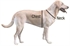 Picture of Standard Dog Parkas by Avery Sporting Dog - Avery Outdoors