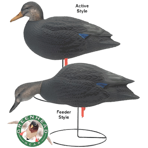 Prairiewind Decoys. Black Duck Active Fullbody Duck Decoys (AV70806) by