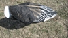 Picture of Headless Blue Windsock Decoys (SS1036HL) by Sillosocks Decoys