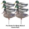 Picture of **FREE SHIPPING**Pro-Grade Full Body Mallard Active 6 pack (AV72116) by Greenhead Gear GHG Avery Outdoors