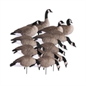 FFD Elite Flocking Kit – Banded