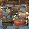 Picture of Life Size American Wigeon Duck Decoys by Greenhead Gear