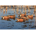Picture for category Wigeon Decoys