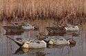 Picture for category FLOATING DUCK DECOYS