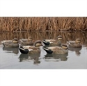 Picture for category Gadwall Duck Decoys
