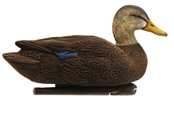 Prairiewind Decoys. Top Flight Atlantic Flyway Pack Duck Decoys