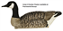 Picture of **FREE SHIPPING** Honker Floater Canada Goose Decoys 4pk by Avian-X Decoys