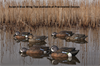 Picture of **SALE** Top Flight Blue Winged Teal Duck Decoys 6pk by Avian X Decoys