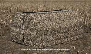 Picture of  *FREE SHIPPING* A-Frame Blind by Avian X Decoys