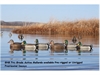 Picture of **FREE SHIPPING** Pro-Grade Active Mallard Duck Decoys 6 Pack  by Greenhead Gear GHG Avery Outdoors