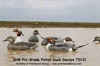 Picture of **FREE SHIPPING** Pro-Grade Pintail Duck Decoys 6 pack by Greenhead Gear