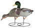 Picture of **FREE SHIPPING** Mallard Full Body Duck Decoys 12 pack (DAK12160) by Dakota Decoys