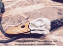 Picture of Traditional Bone Mallard Skull - 9051