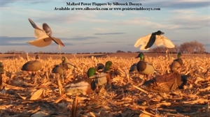 Picture of **SALE** Wing Beat Mallard Power Flapper by Sillosock Decoys