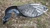 Picture of Juvy Blue Feeder Goose Decoys by Sillosock Decoys