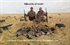 Picture of *SALE* 3-D Sentry Canada Goose Windsock Decoys by SilloSock Decoys