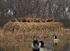 Picture of **SALE** Natural REAL GRASS MATS B8781 by Banded Gear