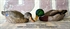 Picture of **SALE**  Mallard Rester Dabbler Duck Decoys 6pk (DAK12130) by Dakota Decoys