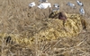 Picture of Ghillie Blanket in Corn/Wheat Camo by Sillosock Decoys