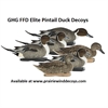 Picture of **SALE** Pro-Grade FFD Elite Pintail Duck Decoys 6pk by Greenhead Gear GHG Avery Outdoors