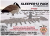 Picture of Sleeper Canada Goose Silhouette Decoys by Big Al's Decoys