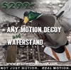 Picture of **HOLIDAY SPECIAL** Any Clone/Water Stand COMBO by Clone Decoys