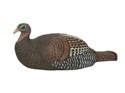 Picture for category Turkey Decoys 
