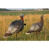 Picture of Merriam Turkey Lookout/Jake Combo (AVX8009) by Avian-X Decoys