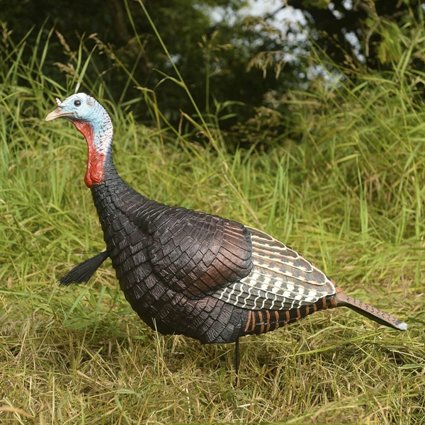 Prairiewind Decoys. **FREE SHIPPING** Jake Turkey Decoy Rio Grande by