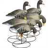 Picture of **FREE SHIPPING** APEX Specklebelly Full Body Goose Decoys by Higdon Decoys