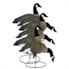 Picture of **FREE SHIPPING**  Full Size Full Body CANADA Goose Decoys by Higdon Decoys