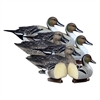 Picture of **SALE** Battleship Pintail 6 pk  (Foam Filled) by Higdon Decoys