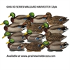 Picture of *FREE SHIPPING* Pro-Grade XD Series Mallard Duck Decoys by Greenhead Gear