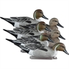 Picture of **FREE SHIPPING** Standard Pintail 6pk by Higdon Decoys