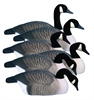 Picture of **FREE SHIPPING** MAGNUM HALF SHELL CANADA Goose Decoys 6pk by Higdon Decoys