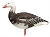 Picture of **FREE SHIPPING** AXP Full Body BLUE Snow Goose Decoys 10pk by Avian X Decoys