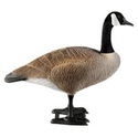 Picture of Bigfoot Sentry Goose
