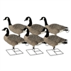 Picture of **FREE SHIPPING** ProGrade XD Canada Goose Decoys by Greenhead Gear