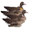 Picture of **FREE SHIPPING** Full Size SPECK Goose Floater 4pk by Higdon Outdoors