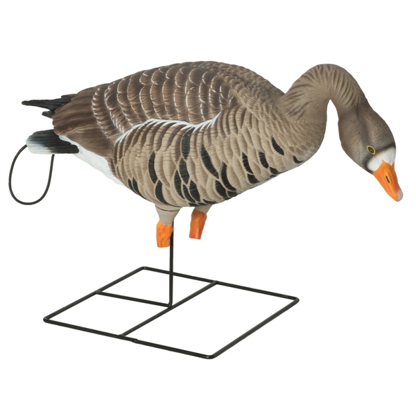 Prairiewind Decoys. *free Shipping* Pro-grade Xd Specklebelly Goose 