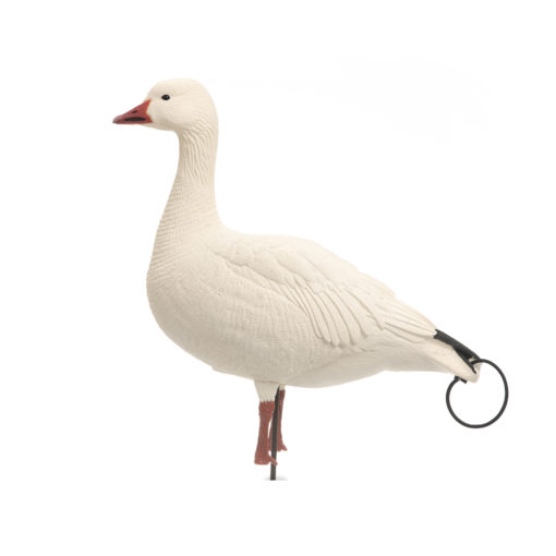 Prairiewind Decoys. **FREE SHIPPING** Snow Goose Decoys Combo 10 pack