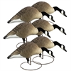 Picture of **FREE SHIPPING** ALPHA MAGNUM Full-body TruFeeder Canadas by Higdon Decoys