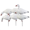 Picture of *FREE SHIPPING*  Pro Grade Full Body Snow Goose Decoys - Harvester 6pk by Greenhead Gear GHG
